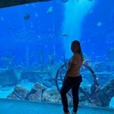  ,   , 38 ,   c 