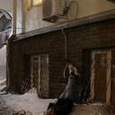 ���������� ���������, ���� ����� ����, 24 ����, ������������ ��� ������, ����� � ���������, c�������� ���������