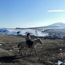 ���������� Ara, ���� ������� Olga, 34 ����, ������������ ��� ����� � ���������, c�������� ���������