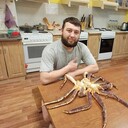 ���������� ������, ���� ������� �����, 38 ���, ������������ ��� ������, ����� � ���������, c�������� ���������