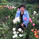 ���������� ������, ���� ������� ������, 63 ����, ������������ 