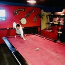 ���������� �������, ���� ������� �����, 35 ���, ������������ 