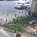   ,   Kadri, 32 ,   ,   
