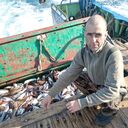 ���������� �������, ���� ������� ����, 50 ���, ������������ ��� ������, ����� � ���������