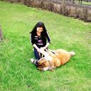  ,   Kani, 31 ,   ,   , c 
