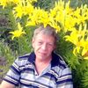  ,   , 65 ,     , c 