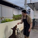 Phuket,   DavidRicardo, 37 ,   ,   