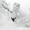  ,   BORIS, 54 ,   ,   , c , 