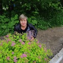 ,   , 58 ,   ,   , c 