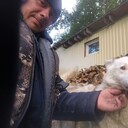  ,    , 36 ,   ,   , c 