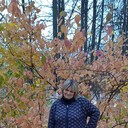 ���������� ������ ��������, ���� ������� �����, 50 ���, ������������ ��� ������, ����� � ���������, c�������� ���������