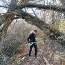 ���������� �������, ���� ������� ������, 29 ���, ������������ ��� ������, ����� � ���������, c�������� ���������