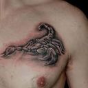 ���������� �������, ���� ������� Boris, 46 ���, ������������ ��� ������