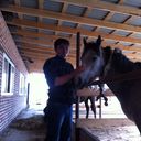 ���������� �������, ���� ������� ���, 38 ���, ������������ ��� ������