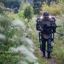 ���������� �����, ���� ������� �����, 37 ���, ������������ ��� ������, ����� � ���������, c�������� ���������