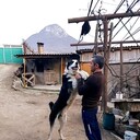 ���������� ������� �����, ���� ������� Hrach, 42 ����, ������������ ��� ������, ����� � ���������