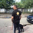 ���������� ������, ���� ����� ��������, 25 ���, ������������ ��� ������, ����� � ���������