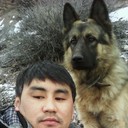  ,   , 43 ,   