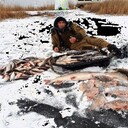 ���������� ��������, ���� ������� �������, 38 ���, ������������ ��� ������, ����� � ���������