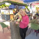 ���������� ������, ���� ������� �����, 23 ����, ������������ ��� ������, ����� � ���������