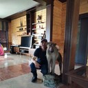 ���������� ����������, ���� ������� ��������, 47 ���, ������������ ��� ������, ����� � ���������, c�������� ���������