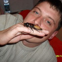 ���������� �����������, ���� ������� �����, 47 ���, ������������ ��� ������, ����� � ���������, c�������� ���������