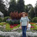 ���������� �����, ���� ������� ������, 50 ���, ������������ ��� c�������� ���������