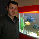 ���������� ����, ���� ������� ��������, 44 ����, ������������ ��� ������