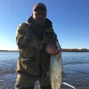 ���������� �����������, ���� ������� �������, 47 ���, ������������ ��� ������, ����� � ���������