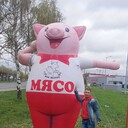 ���������� �������, ���� ������� �������, 42 ����, ������������ ��� c�������� ���������