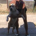   ,   Nikolay777, 37 ,  