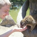 ���������� ���������, ���� ������� ������, 37 ���, ������������ ��� ������, ����� � ���������, c�������� ���������, ���������