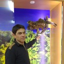 ���������� �����, ���� ������� ���, 44 ����, ������������ ��� ������, ����� � ���������, c�������� ���������