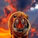 ���������� ������, ���� ������� �����, 30 ���, ������������ ��� ������, ����� � ���������