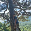  ,   , 36 ,   ,   , c , 