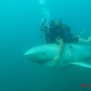  --,   , 29 ,   ,   , c , 