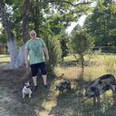  ,   , 46 ,   ,   , c 