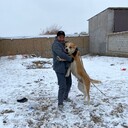 ���������� �������, ���� ������� ���, 47 ���, ������������ ��� ������, ����� � ���������