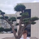 ���������� ���������, ���� ������� �������, 38 ���, ������������ ��� ����� � ���������, c�������� ���������, ���������