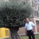 ���������� ������, ���� ������� ����, 50 ���, ������������ ��� ����� � ���������