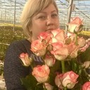 ���������� ������-��-����, ���� ������� ����, 44 ����, ������������ ��� ������, ����� � ���������, c�������� ���������