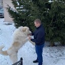 ���������� ������, ���� ������� �������, 35 ���, ������������ ��� ������, ����� � ���������, c�������� ���������