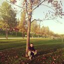 ���������� ���������, ���� ������� �����, 38 ���, ������������ ��� ������, ����� � ���������, c�������� ���������, ���������