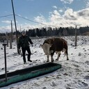 ���������� ����������, ���� ������� Samat, 28 ���, ������������ ��� ������, ����� � ���������, c�������� ���������, ���������