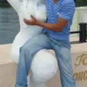 ���������� ������, ���� ������� ����, 39 ���, ������������ ��� ������