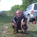 ���������� ������������, ���� ������� �������, 62 ����, ������������ ��� ������, ����� � ���������, c�������� ���������