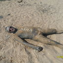 ���������� ������, ���� ������� ������, 51 ���, ������������ ��� ������, ����� � ���������, c�������� ���������