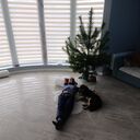  ,   , 34 ,     , c 