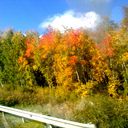 ���������� ��������, ���� ������� �������, 54 ����, ������������ ��� ������, ����� � ���������, c�������� ���������