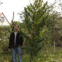  ,   Samum, 50 ,   ,   , c 
